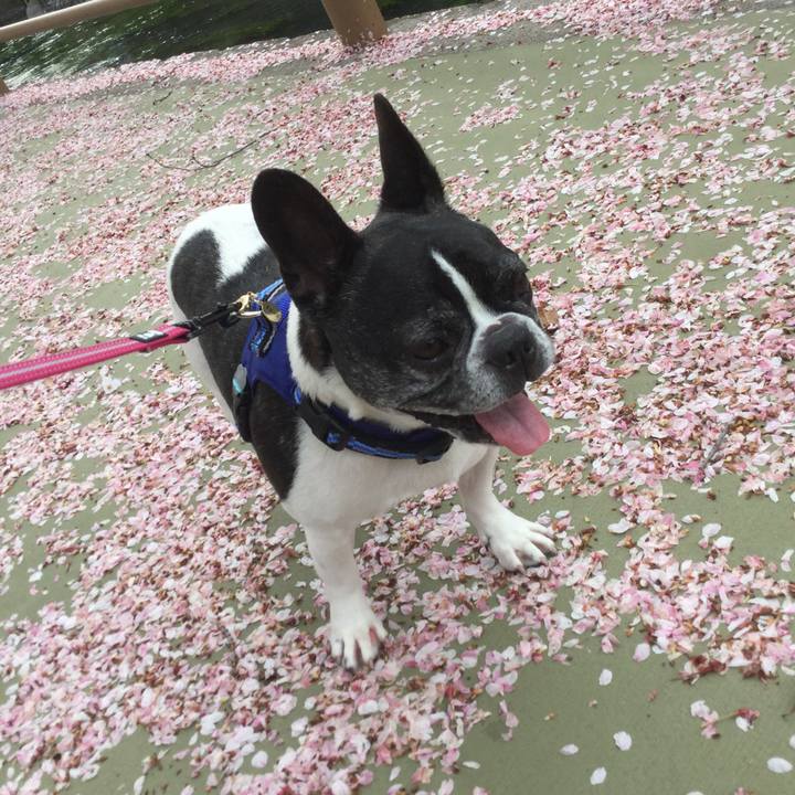 14bfea95 fee5 4a39 afd4 96976ae2dda4