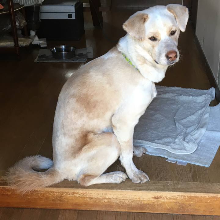 14c00e99 ccf3 46e6 b16f ed7da6064084