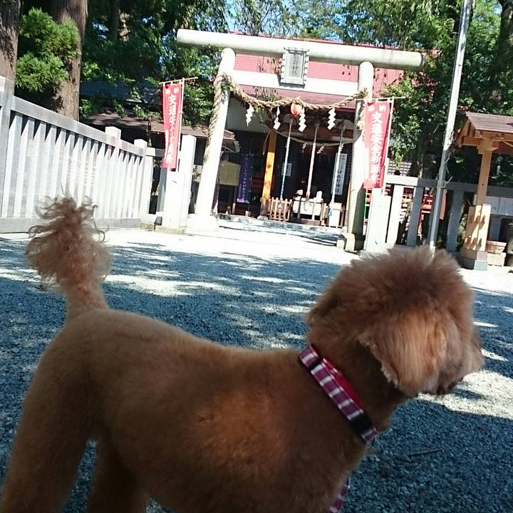 14c02cb5 e8a7 4fb2 8cc2 83b26fcf0a7a