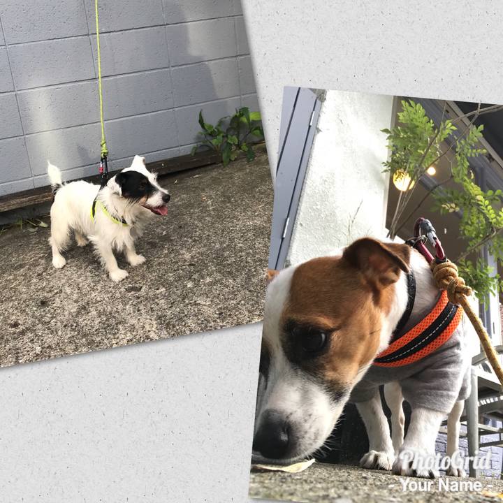 14c0b0ea b2f1 424d 9951 dd72a1cf2612