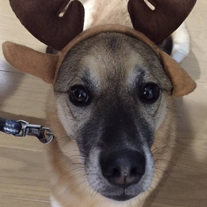 14c0f6aa 7b28 4db9 9fd2 8583cffc3a90