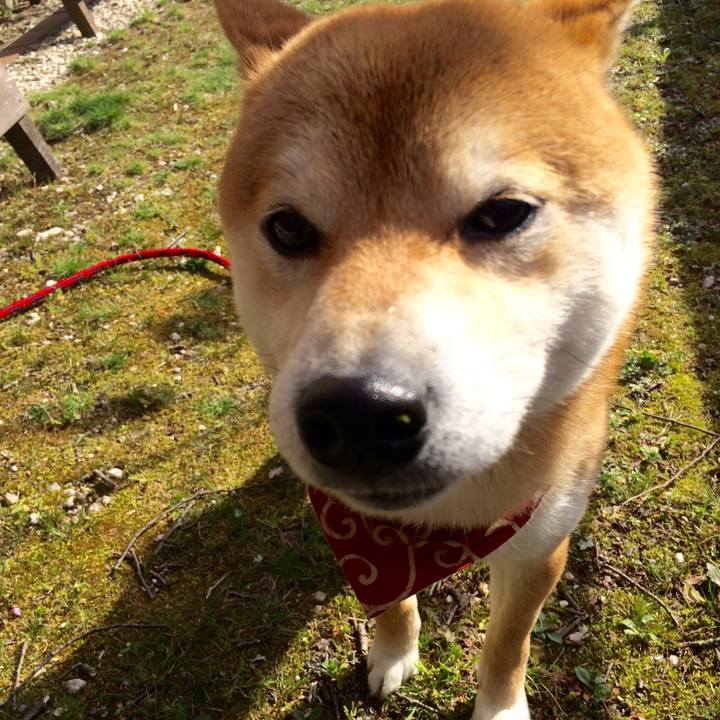 14c14c6b 3c55 4dbf b80e 6a54348043f8