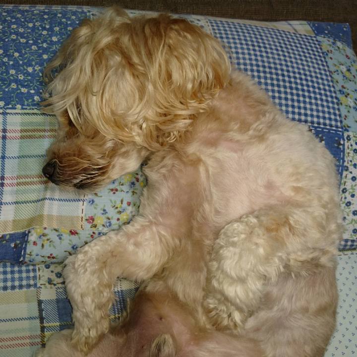 14c1938b 14ad 43e4 9512 fb5f019c8c4d