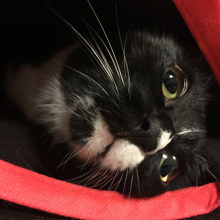 14c249bd cc1e 4417 a1c6 1c2240855070