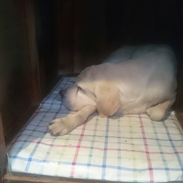 14c272a5 684b 40c3 bfc8 037247418c60