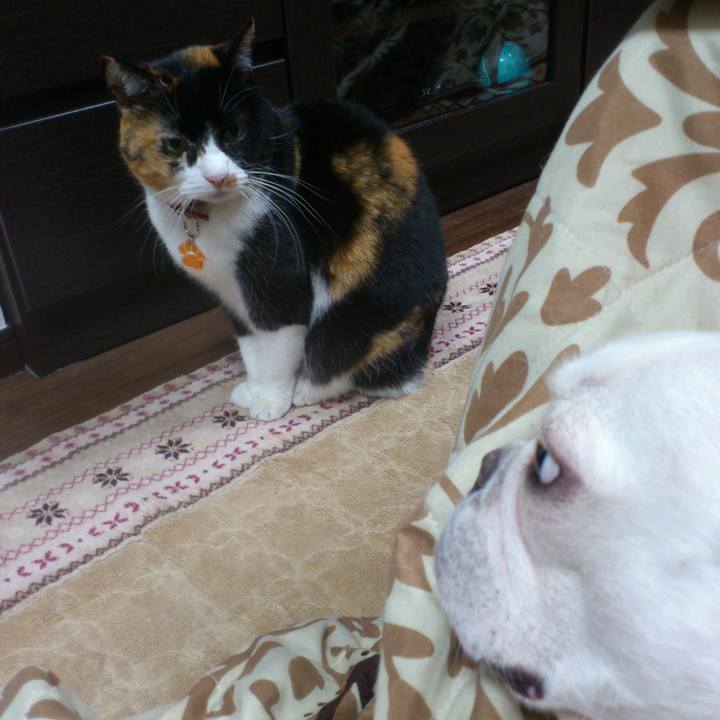 14c2a348 7a7f 4dcf a315 c78d7ce9e3b9