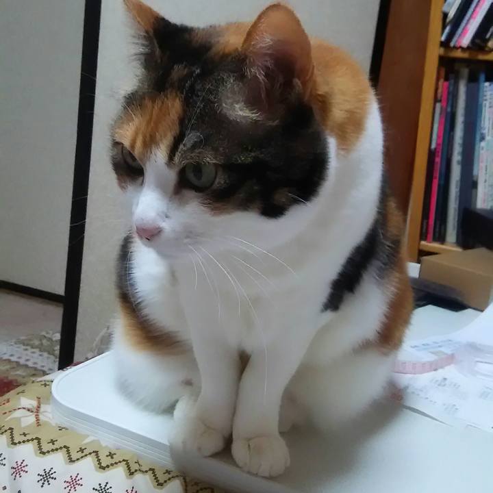 14c2f409 3ac9 4129 af15 c4bff9aba27a