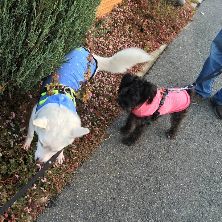 14c376e2 9520 443e 9528 f2d061160e3f