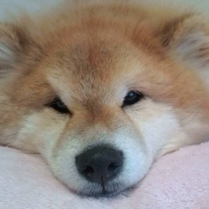 14c3d233 00a2 404d ae8c fbaaef00375a