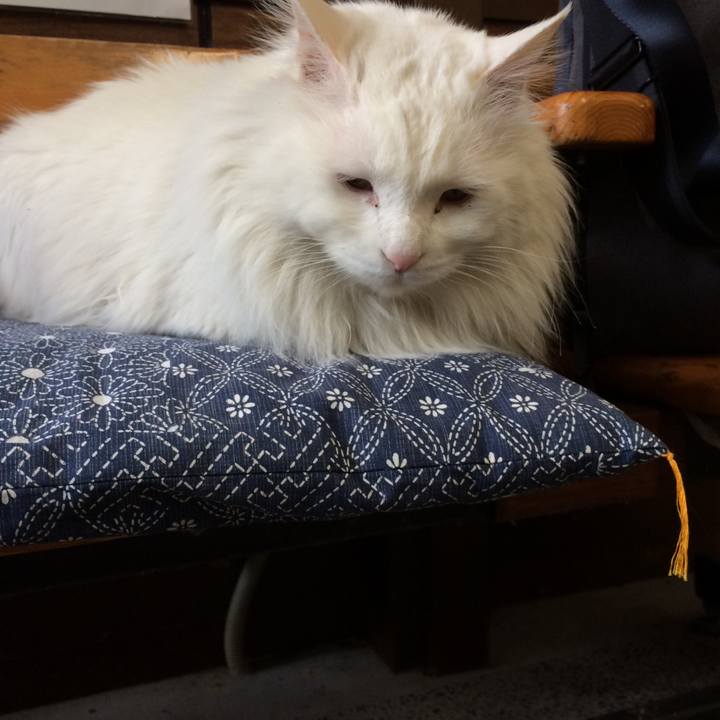 14c4850f 74cd 43b8 a37a 2eb0b510e606