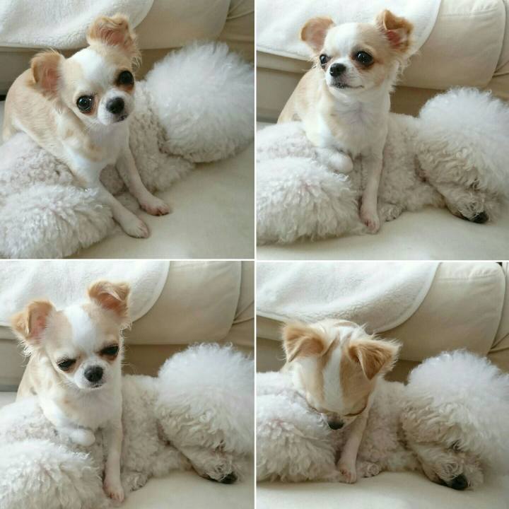 14c4aee0 797d 47ba a204 3a3f50f30664