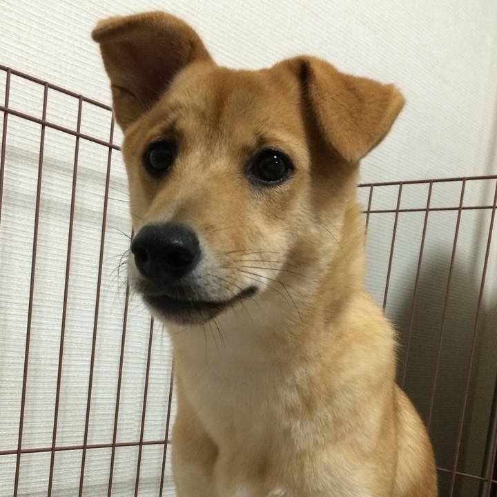 14c505bc e3f9 4f7f aa21 c3dfdfaa4029