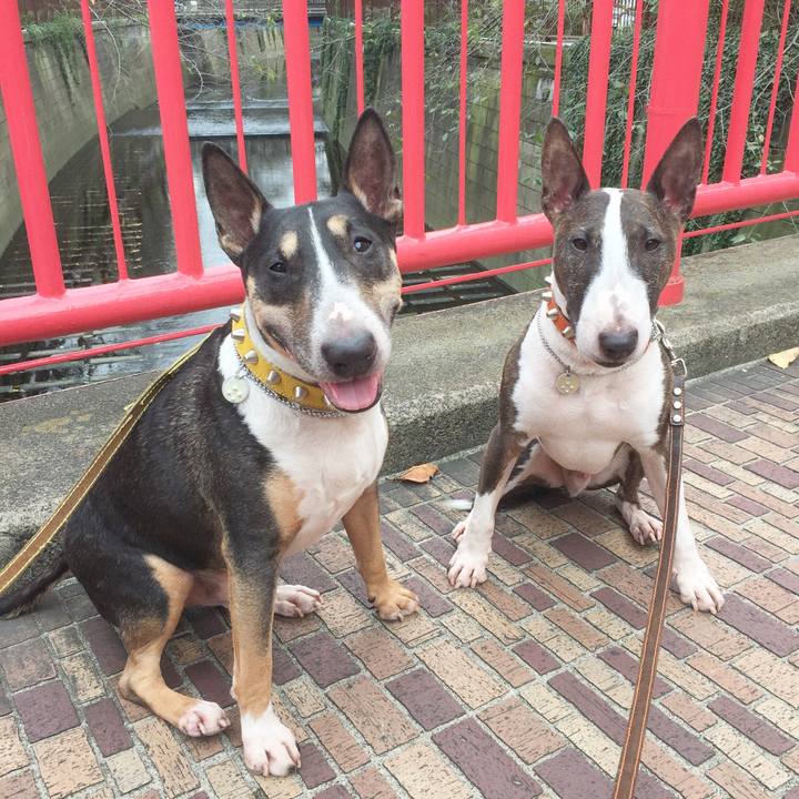 14c52086 b89a 49ce 8f1f 0c9b4fe17f0d