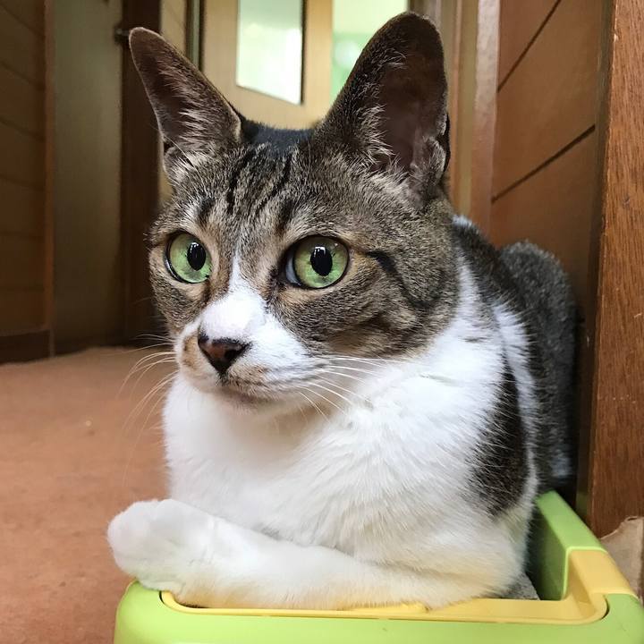 14c5e21c ed78 4463 a04e fc0124bb733f