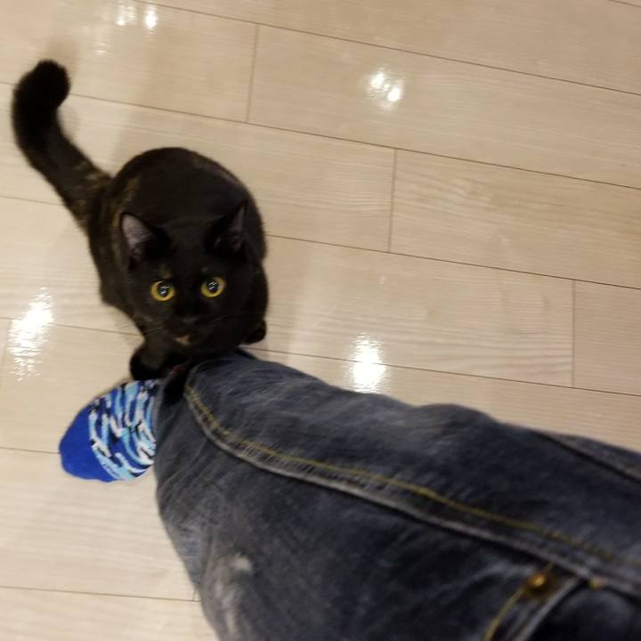 14c5e359 af62 4046 888a c427c2829158