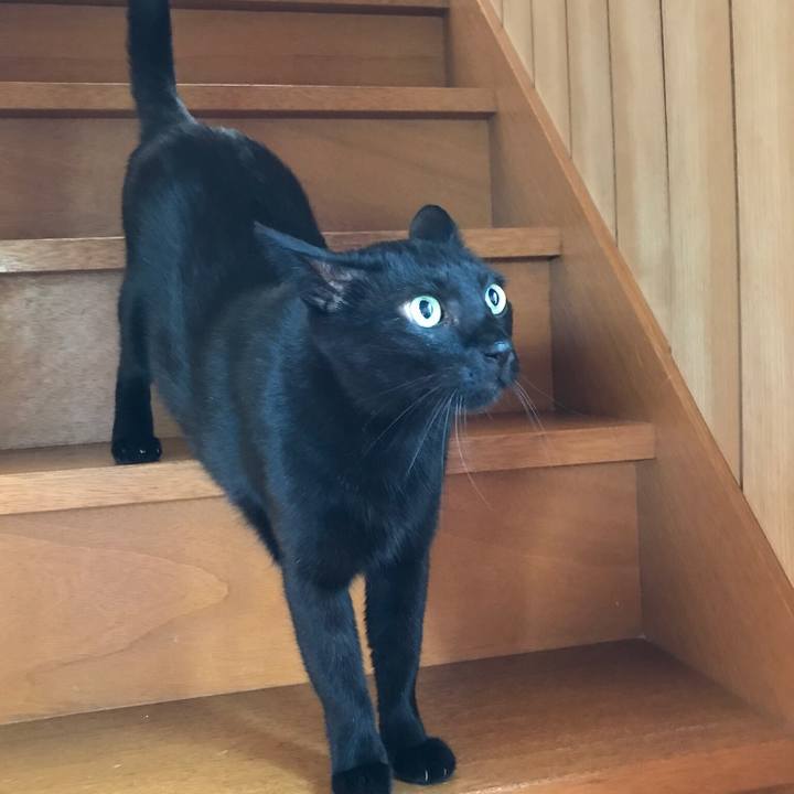 14c5f427 ce9c 4343 afee 8c79194dc8cd