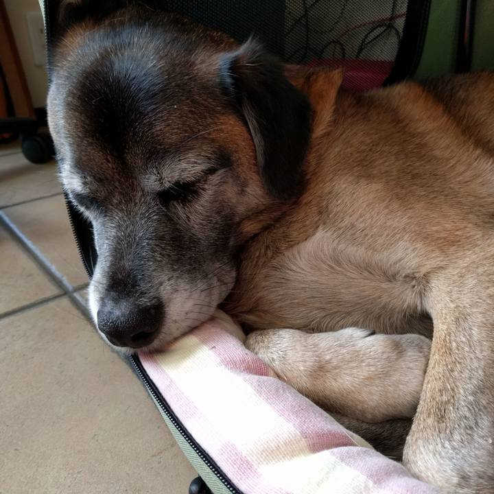 14c6405c b26f 4eae ad7c 0388da819d88