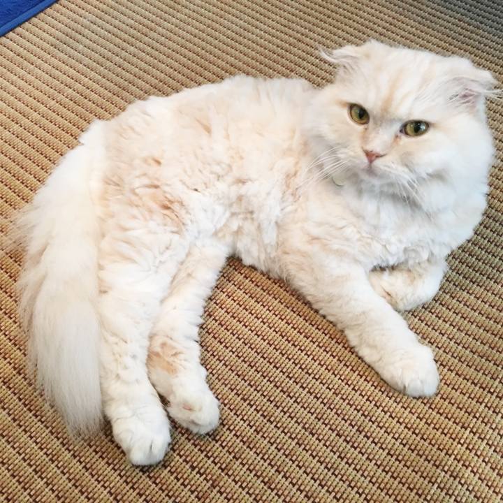 14c6736b 205a 4091 bbba 4210fbc16267