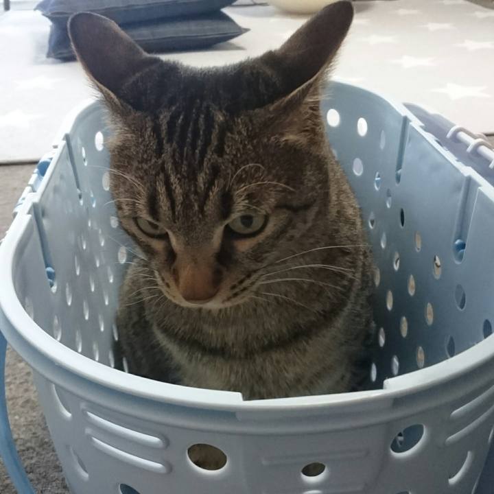 14c67b7a 27cd 4e68 8693 b31dcca986b4