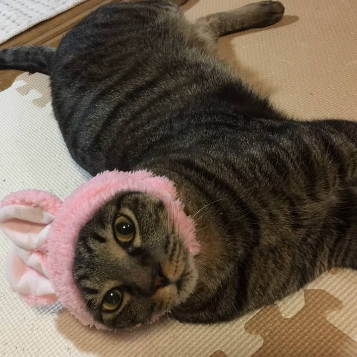 14c6f924 3079 44ff b899 216b06c2d527