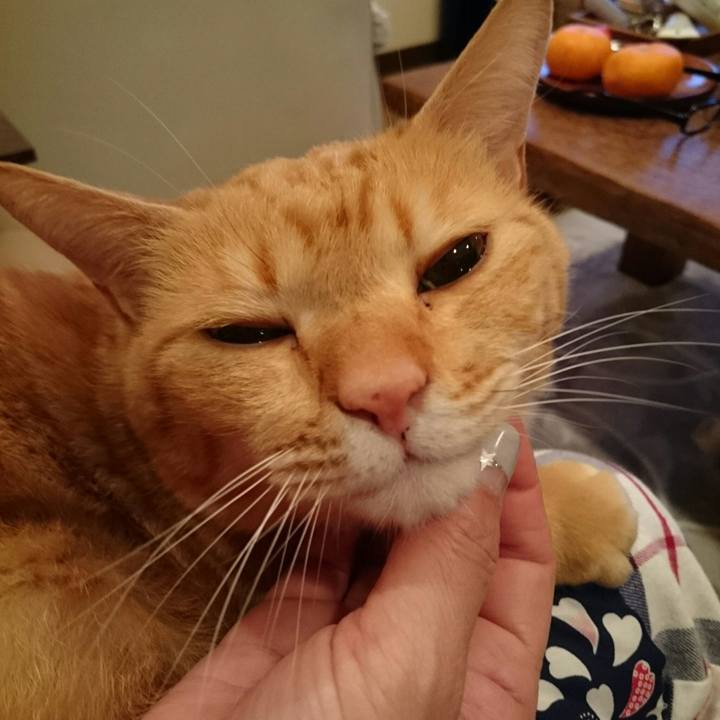 14c725b3 03f1 457f 8914 b96f945f4411