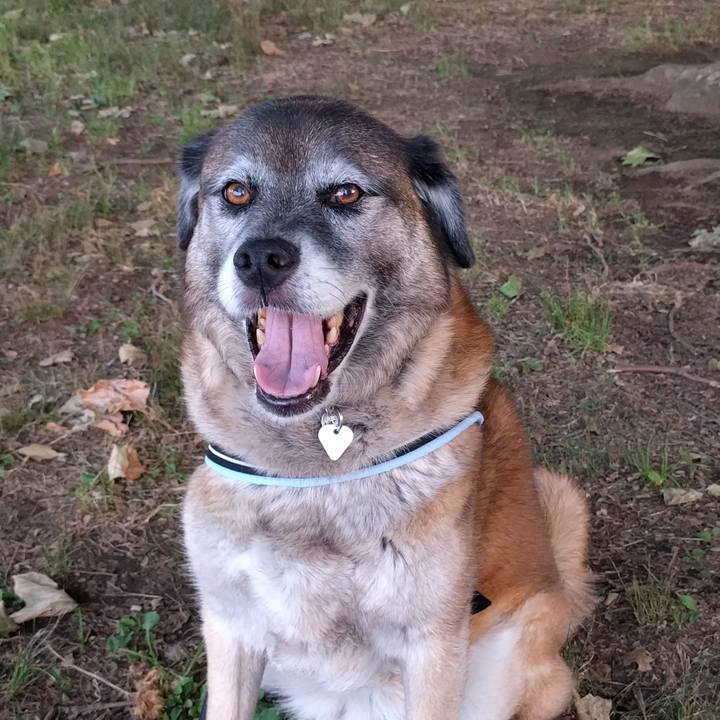 14c72f41 1bf2 4fc0 bac3 cdc1d01ac2bc