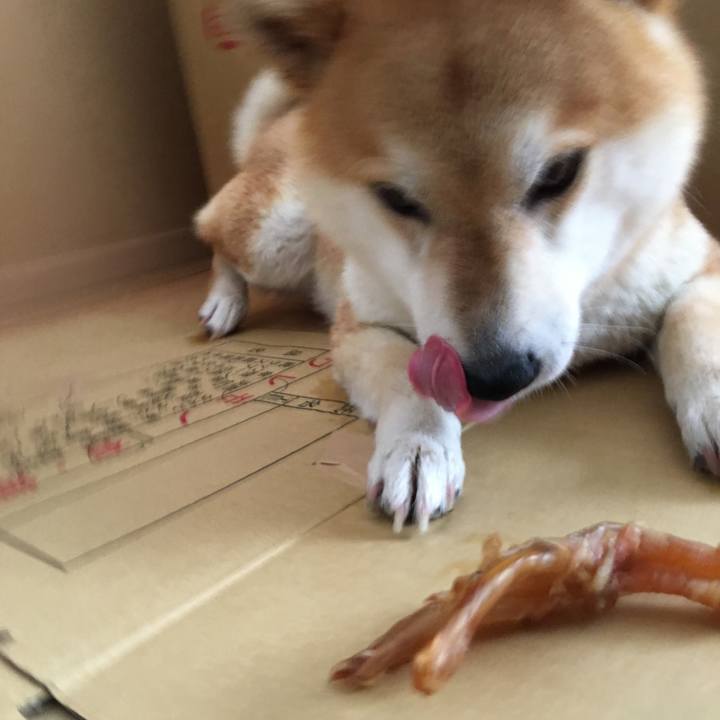 14c7f403 70d2 4b11 9220 a91930fcf610