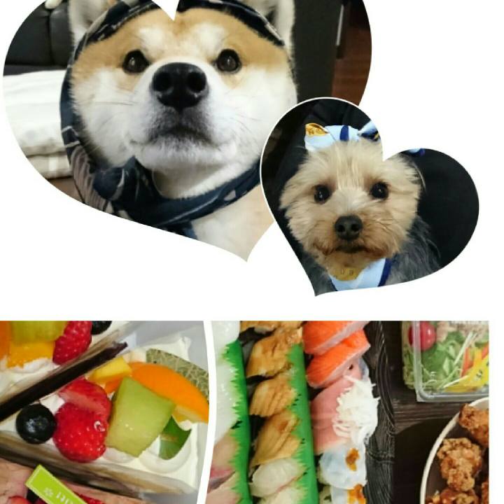 14c84869 a958 4faa 95da 48961e81effa