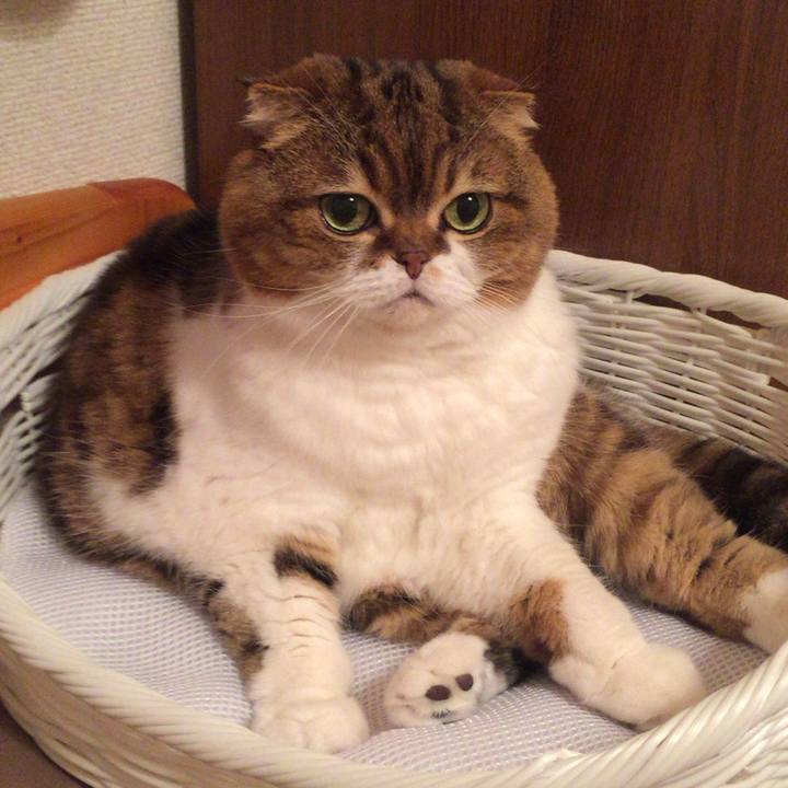 14c880a1 16b1 4b05 9bb4 fe5a40fb231b