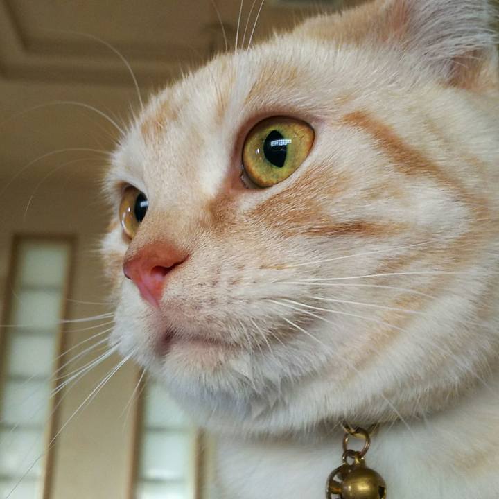 14c8db97 d8eb 400f aa33 c96a8930c15f