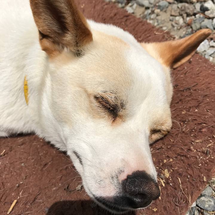 14c8ea14 0a61 487e 9977 46a9651d8faf