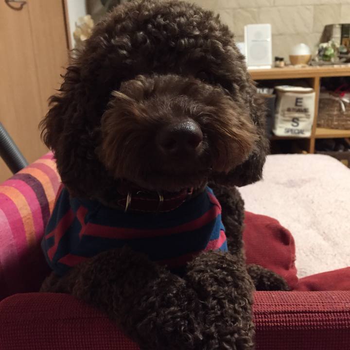 14ca86e0 2660 433e 827d 3659a0cc72f3