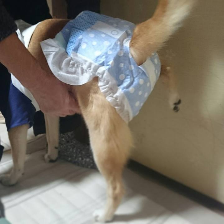 14cb30b9 a941 4924 8c2f d0b17f0986c2