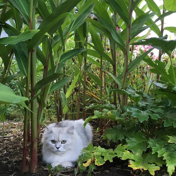 14cb5508 2bc9 4440 bcf6 9cd7d110abe9