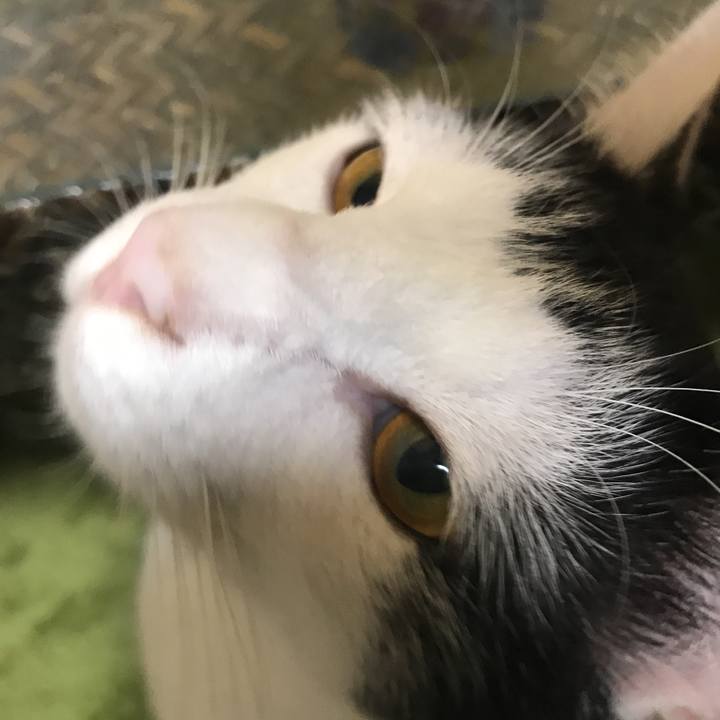 14cd373c 539e 44e6 833a b8d525005b80