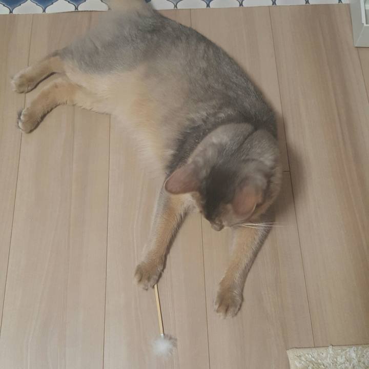 14cd7cd8 4e4b 400f 8957 f3310dc1f53a