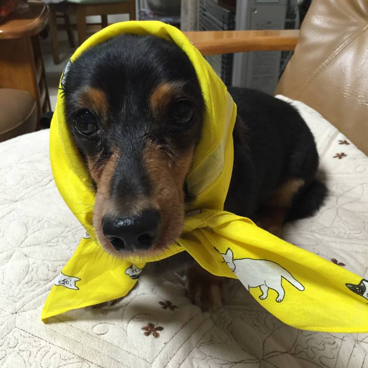 14cd8638 39c0 4936 b0ae bdf0c063c43e