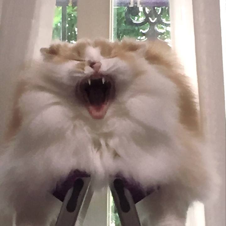 14cd9e15 acaa 4d65 9bb5 7052e4b2f543