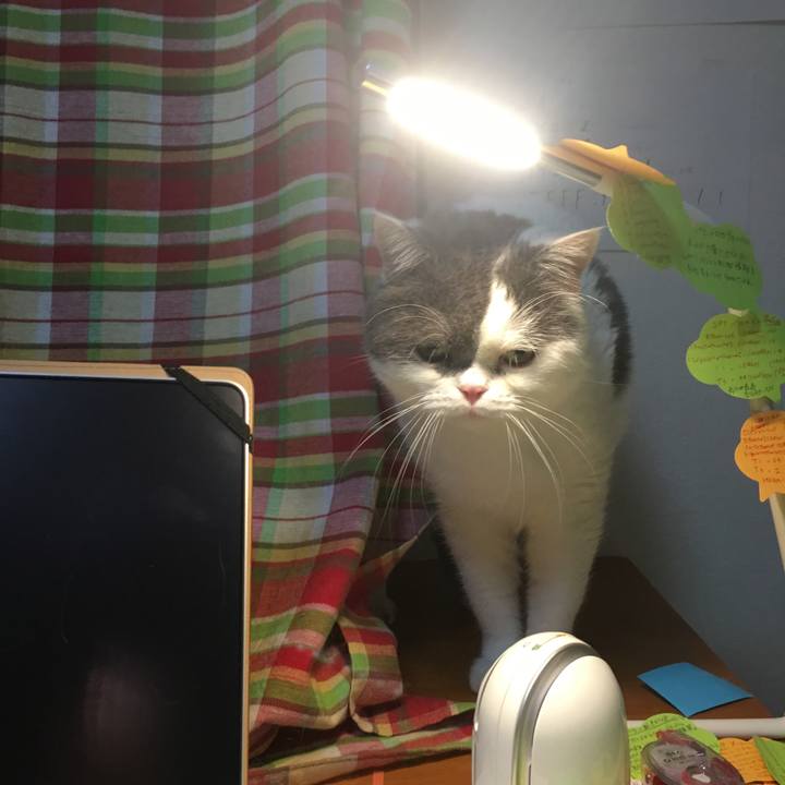 14ce0402 f73b 4a6b ae63 d5711698a346