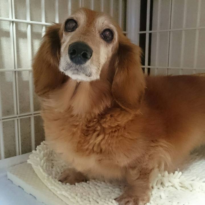 14cea58c ea26 4d79 85ab f13061fa054e