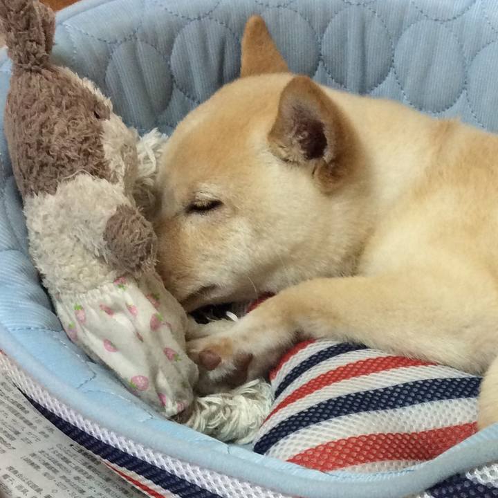 14cef2fa bebf 44ec a8e0 b9f3a0e81152