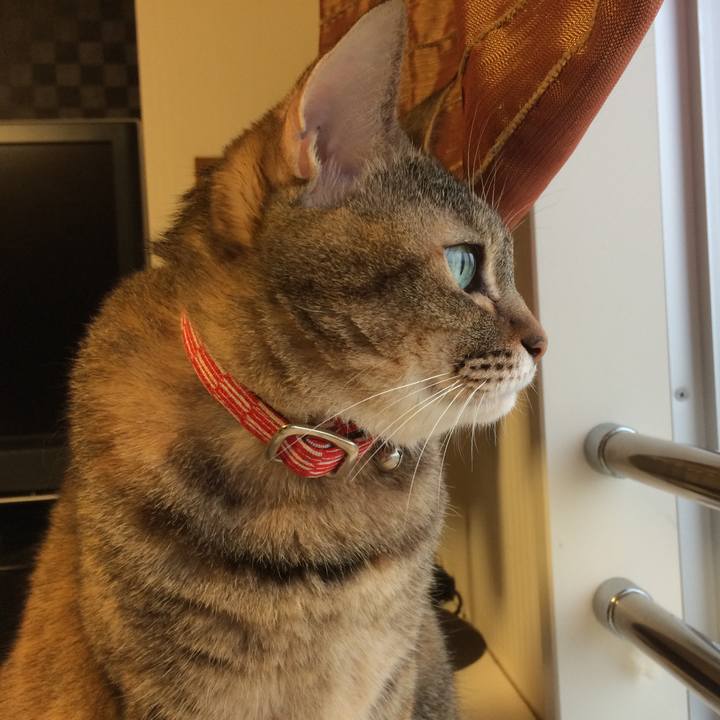 14cf35d6 a4a5 4ee5 b25d 6fbceec5f49d