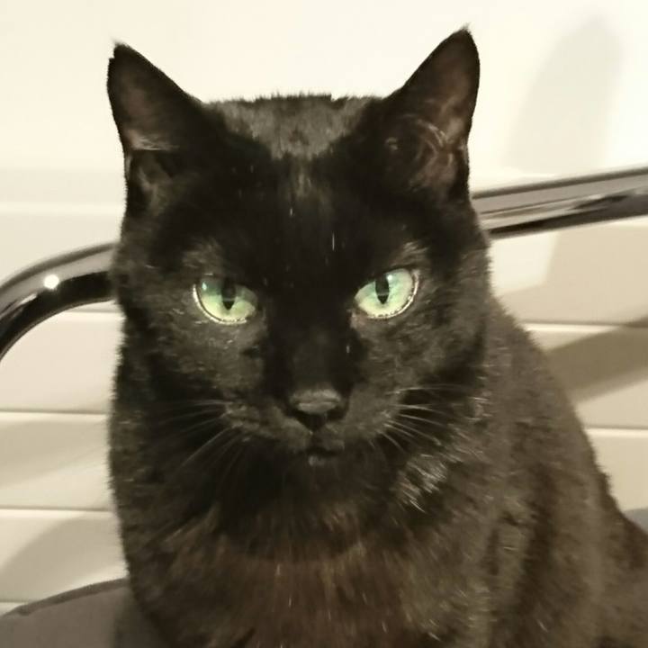 14cf3e69 a666 40b9 9443 d0b90c7e45ed