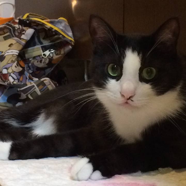 14cf6a8f f411 4e5e ad08 847ec107460f