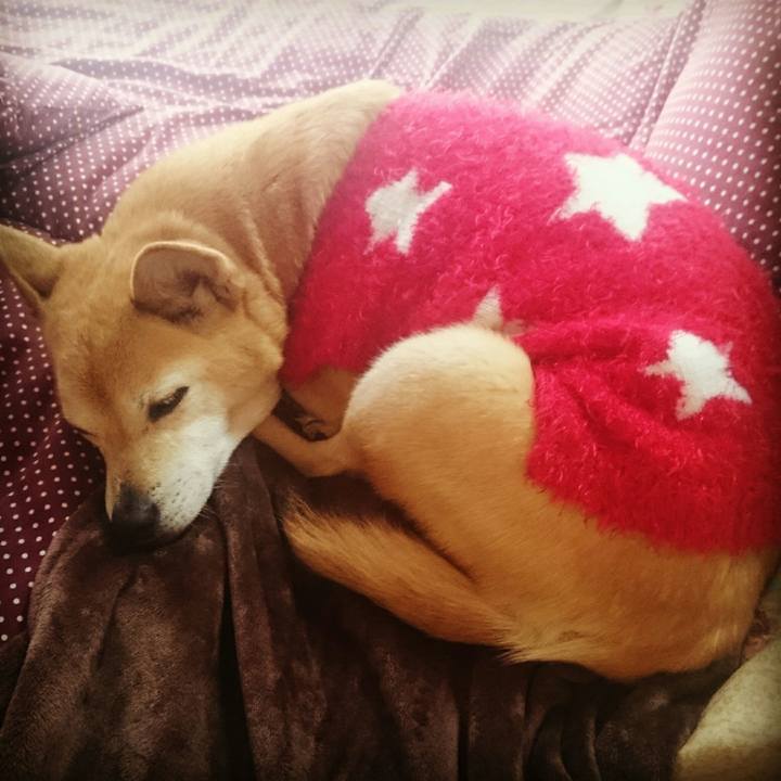 14d01e2a e15e 4f43 acdd 4b58be10fc7c