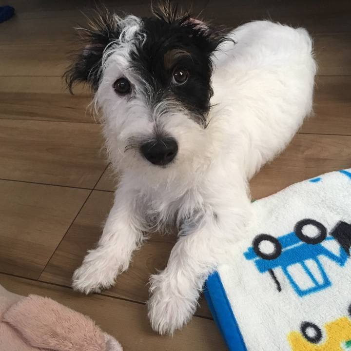 14d07cd5 42b1 411c 8329 50bd5b49a5d9