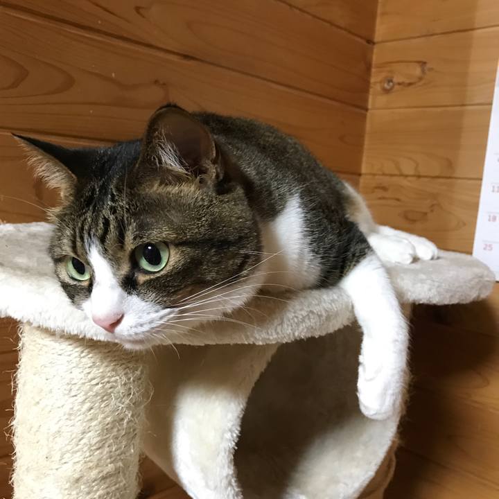 14d08c21 b504 431c 8bea b9ff40ab03a1