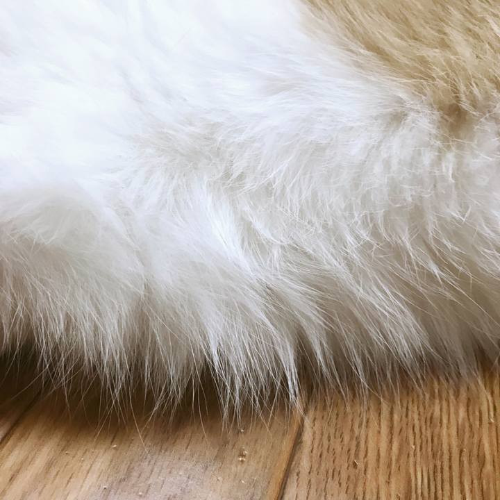 14d0acb7 42f9 4f00 a4b9 dfe803a04f11