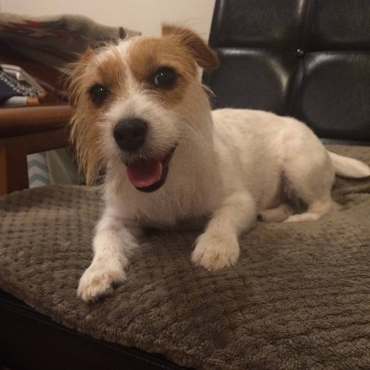 14d0e8c7 9808 4c20 bbaa fd3cec275d02