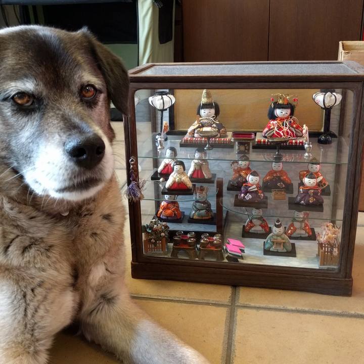 14d136e3 ceee 4ec7 b93d 5b0e993e40b8